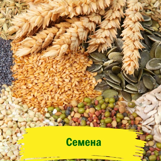 Семена овощей и цветов